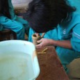 1204_tougei2