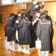 1217_zinntinori6