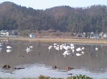 Ca340042001